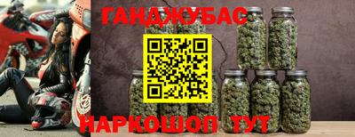 крисы Гуково